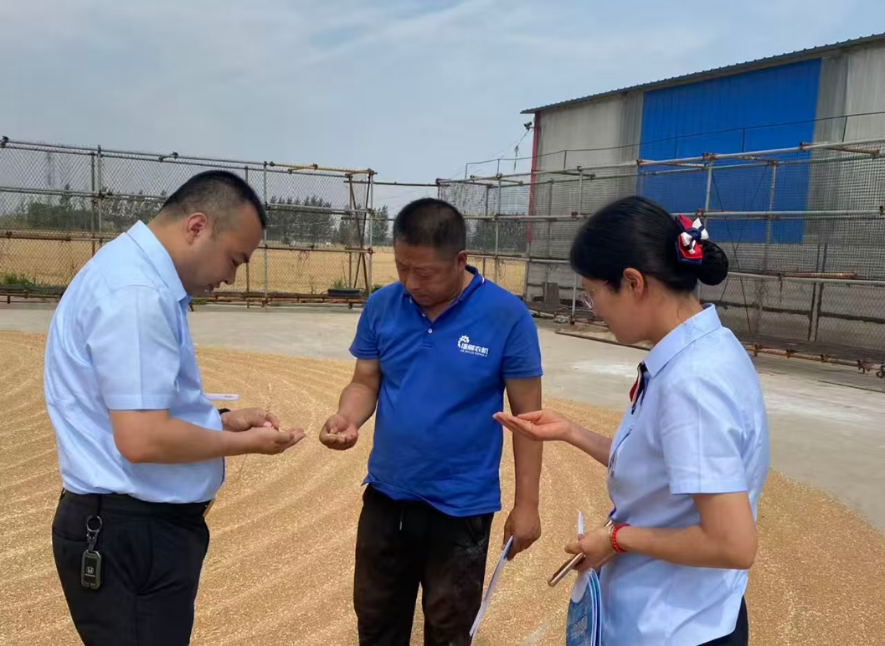 桓台农商银行马桥支行客户经理到种粮大户农场考察生产、收储、夏播情况.jpg
