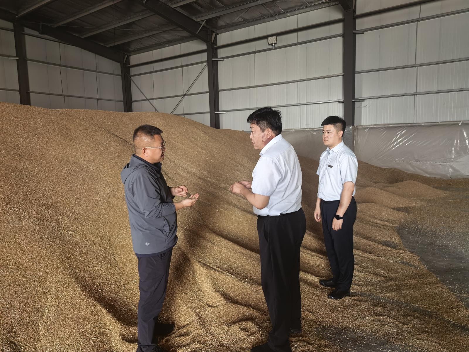桓台农商银行工作人员在官东村党支部领办合作社考察夏粮收储情况2.jpg 桓台农商银行工作人员在官东村党支部领办合作社考察夏粮收储情况2.jpg